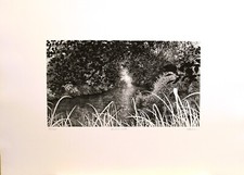 AGOSTINO ZALIANI - INCISIONE