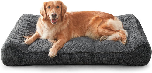 Cuccia ortopedica per cani - cuccia, di