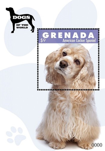 Cani del mondo foglio timbro - cani,