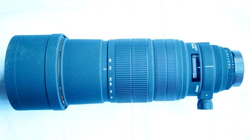 Sigma nikon fit - dg, 120