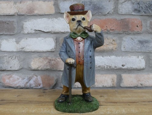 Bulldog francese gentiluomo