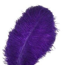 Piume di struzzo Sowder 10