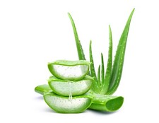 BIO Foglie fresche di Aloe