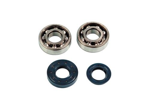 Kit cuscinetti paraoli albero - cuscinetti+paraoli,