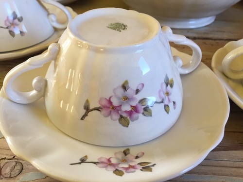 1950 sci laveno tazza brodo - laveno,