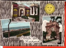 CARTOLINA MARZOCCA DI