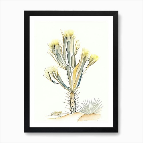 Yucca brevifolia subsp art - yucca,