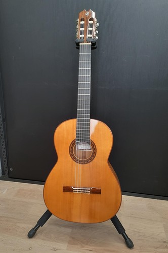 Prudencio saez flamenco - 22,