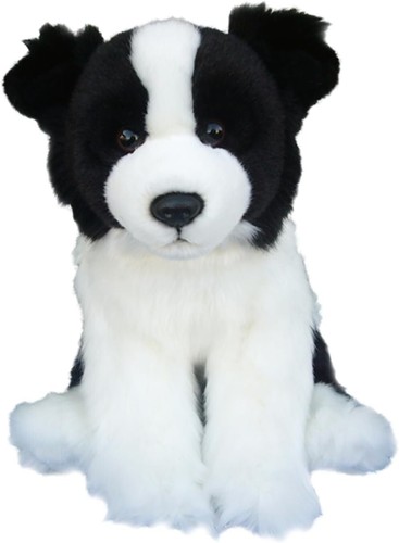 Fedeli amici border collie - border,