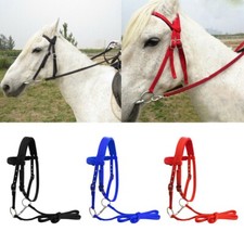Briglia per Cavalli Cavallo