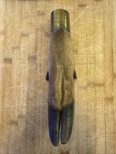 1923 Quantock Staghounds Cervo