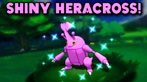 Heracross lucido t c - lucido,