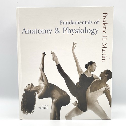 Fundamentals anatomy - fundamentals, &