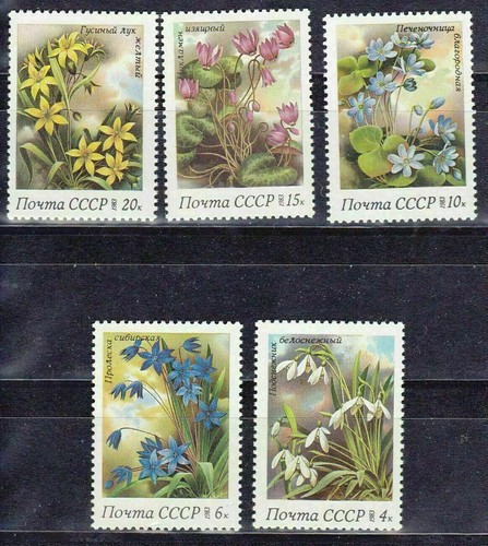 Fiori set completo - nuovo, di