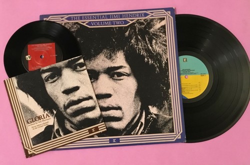 Jimi hendrix the - jimi,