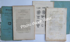 Paléontologie (coraux)