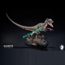 Statua dinosauro Velociraptor maschio W-Dragon modello in resina da collezione esposizione