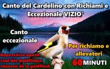 CANTO DEL CARDELLINO CON VIZIO' DA OSCAR E RICHIAMI VARI ITALIA CD USB MICRO SD