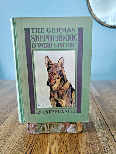 1925 german shepherd dog - 1925,