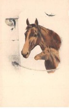 Illustratore - N°81142 -