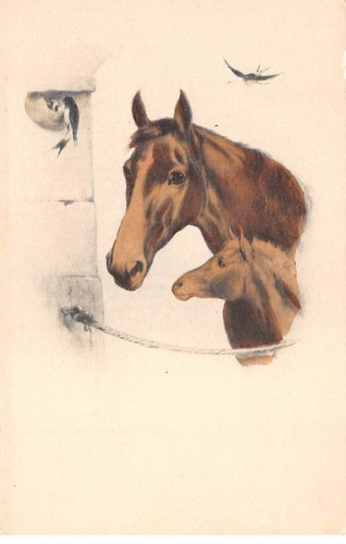 Illustratore 81142 - illustratore, n°81142