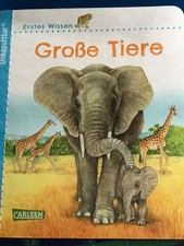 Carlsen Verlag - erstes Wissen