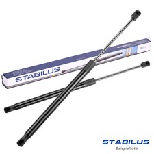 2X Originale Stabilus Gas