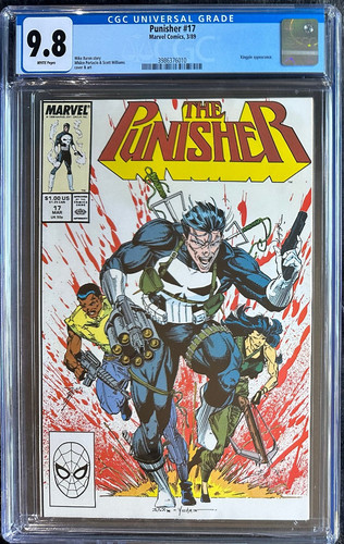 Punisher marvel comics - punisher, #17