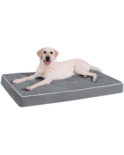 Cuccia cane interno taglia - cuccia,