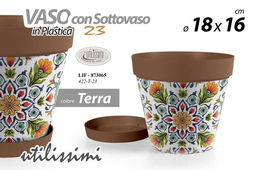 Vaso piante grasse fiori - piante,
