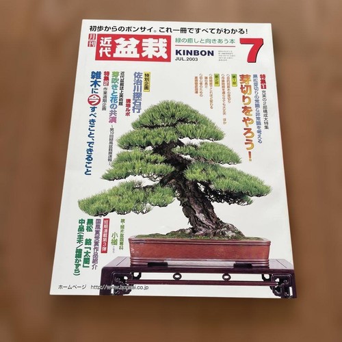 Monthly modern bonsai - monthly, july