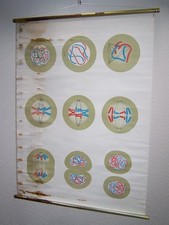 Vecchio Lavagna Didattica