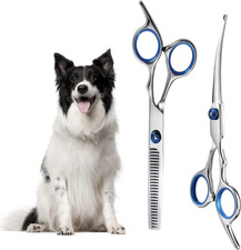 Forbici toelettatura cani - toelettatura,