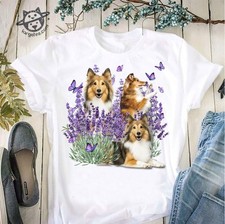 Border Collie dog � Dog and