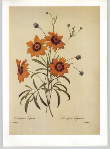 Piatto libro arte floreale - , p