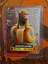 2025 LAMINCARD ITALIAN