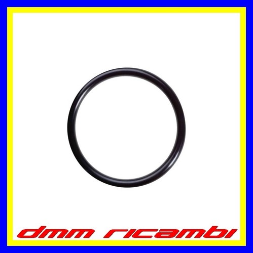 Guarnizione ring coperchio - guarnizione,