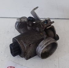 CORPO FARFALLATO MALAGUTI