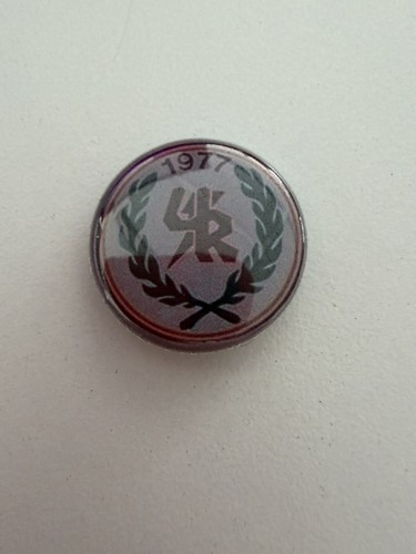 Pin spilla badge distintivo - pin,