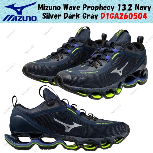 Mizuno wave prophecy - mizuno, 13.2