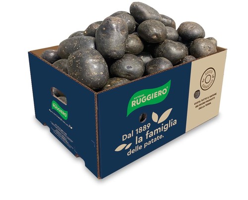 Patate ruggiero viola - ruggiero, per