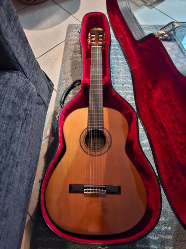 Chitarra classica manuel - chitarra,