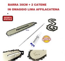 Lama e barra per motosega 30