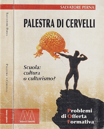 Palestra cervelli scuola - palestra, cervelli.