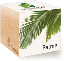 Feel Green Ecocube Palme, Idea Regalo sostenibile (100% Eco Friendly), Grow Your