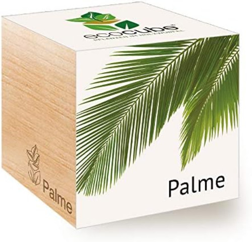 Feel green ecocube palme - palme,, idea