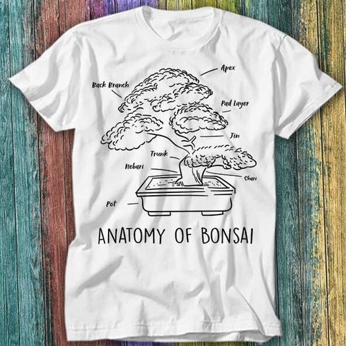 Shirt top anatomy bonsai - top,