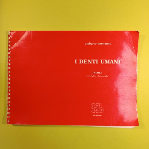 Denti umani tavole - i,