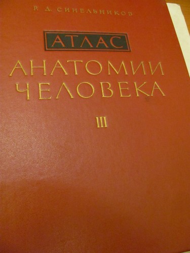 Atlante anatomia umana in - atlante,