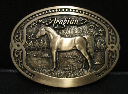 Tony lama cavallo arabo - cavallo,